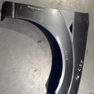 Guarda Lamas Direito Ford Focus I