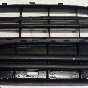 Grelhas Para choques SKODA OCTAVIA