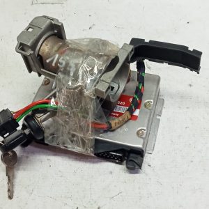 Centralina Control ECU BMW  1739041001