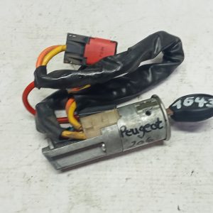 Canhão Ignição Peugeot 206