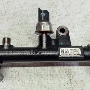 Régua de injeção Peugeot Citroen 2.0 HDi