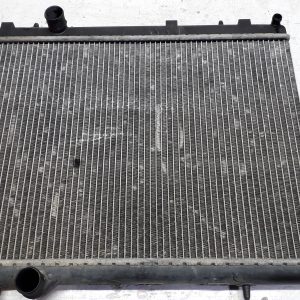 Radiador Água PEUGEOT PARTNER